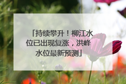 持续攀升！柳江水位已出现复涨，洪峰水位最新预测