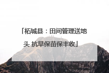 柘城县：田间管理送地头 抗旱保苗保丰收