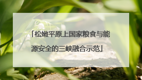 松嫩平原上国家粮食与能源安全的三峡融合示范