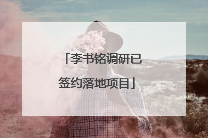 李书铭调研已签约落地项目