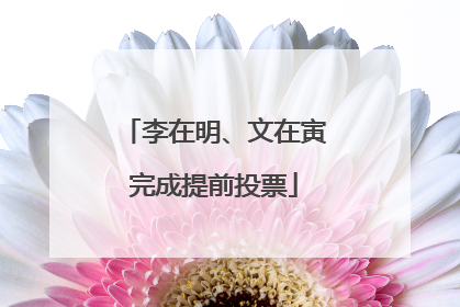 李在明、文在寅完成提前投票