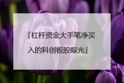 杠杆资金大手笔净买入的科创板股曝光