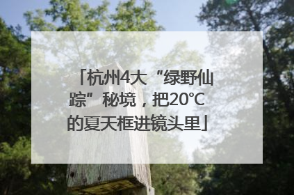 杭州4大“绿野仙踪”秘境，把20℃的夏天框进镜头里