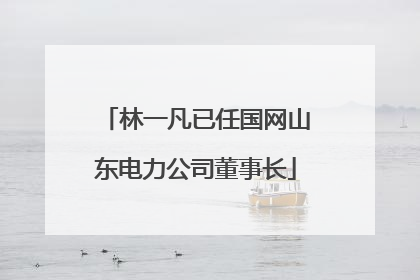 林一凡已任国网山东电力公司董事长