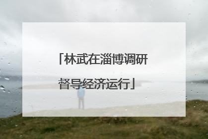 林武在淄博调研督导经济运行