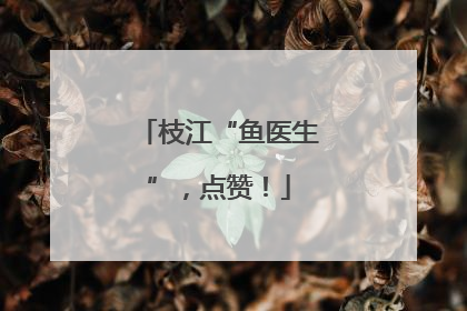 枝江“鱼医生”，点赞！