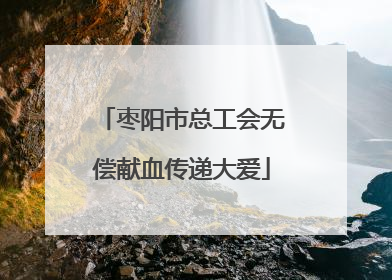 枣阳市总工会无偿献血传递大爱