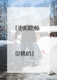 枣阳路畅皇桃俏