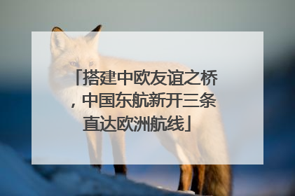 搭建中欧友谊之桥，中国东航新开三条直达欧洲航线