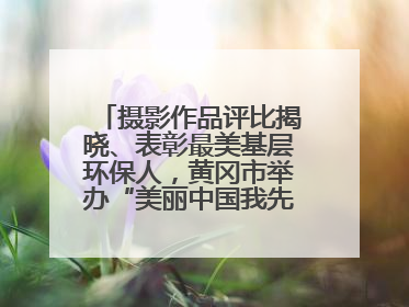 摄影作品评比揭晓、表彰最美基层环保人，黄冈市举办“美丽中国我先行”六五环境日主题宣传活动