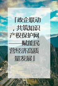 政企联动，共筑知识产权保护网——赋能民营经济高质量发展