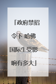 政府禁招令下 哈佛国际生受影响有多大