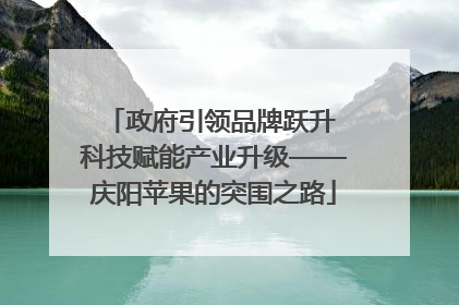 政府引领品牌跃升 科技赋能产业升级——庆阳苹果的突围之路