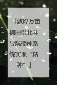 敦煌万亩棉田借北斗导航播种系统实现“精种”
