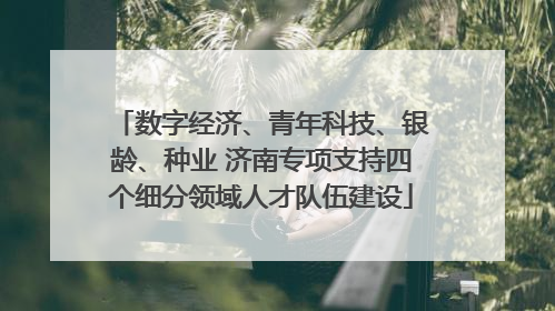 数字经济、青年科技、银龄、种业 济南专项支持四个细分领域人才队伍建设
