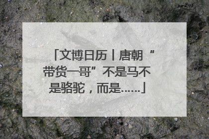文博日历丨唐朝“带货一哥”不是马不是骆驼，而是……