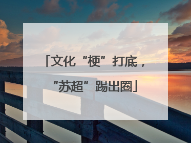 文化“梗”打底，“苏超”踢出圈