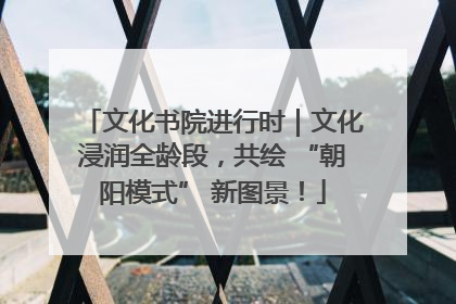 文化书院进行时｜文化浸润全龄段，共绘 “朝阳模式” 新图景！
