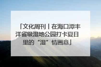文化周刊丨在海口潭丰洋省级湿地公园打卡夏日里的“湿”情画意