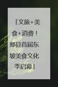文旅+美食+消费！郏县首届东坡美食文化季启幕