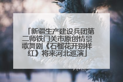 新疆生产建设兵团第二师铁门关市原创情景歌舞剧《石榴花开别样红》将来河北巡演