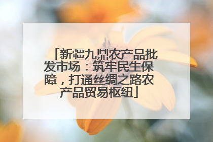 新疆九鼎农产品批发市场：筑牢民生保障，打通丝绸之路农产品贸易枢纽