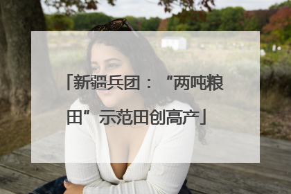 新疆兵团：“两吨粮田”示范田创高产