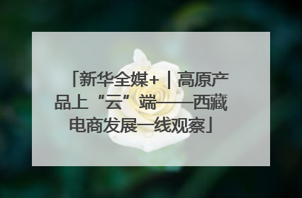 新华全媒+｜高原产品上“云”端——西藏电商发展一线观察