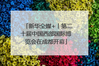 新华全媒+丨第二十届中国西部国际博览会在成都开幕