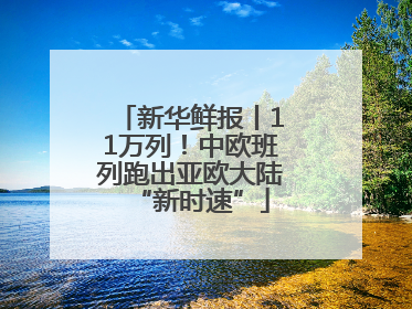 新华鲜报丨11万列！中欧班列跑出亚欧大陆“新时速”
