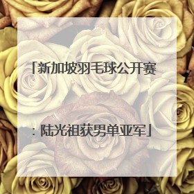新加坡羽毛球公开赛：陆光祖获男单亚军