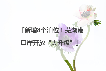 新增8个泊位！芜湖港口岸开放“大升级”