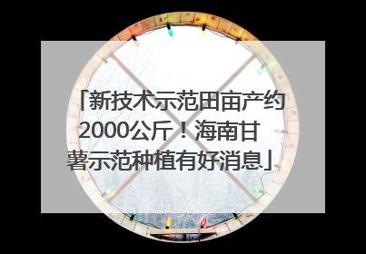 新技术示范田亩产约2000公斤！海南甘薯示范种植有好消息