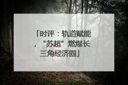 时评：轨道赋能，“苏超”燃爆长三角经济圈