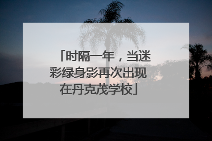 时隔一年，当迷彩绿身影再次出现在丹克茂学校