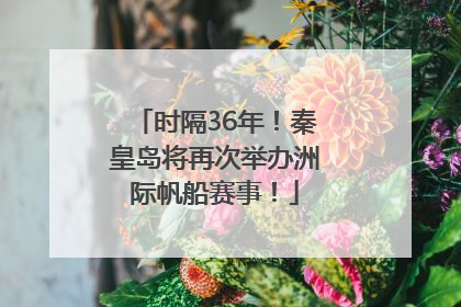 时隔36年！秦皇岛将再次举办洲际帆船赛事！