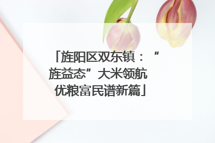 旌阳区双东镇：“旌益态”大米领航 优粮富民谱新篇