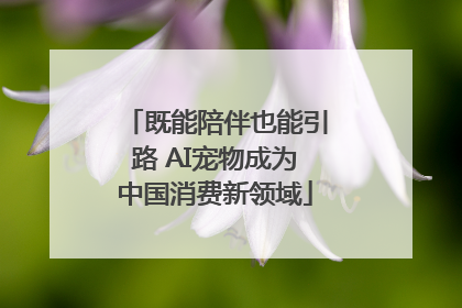既能陪伴也能引路 AI宠物成为中国消费新领域