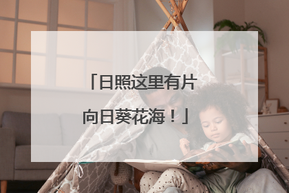 日照这里有片向日葵花海！