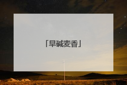 旱碱麦香