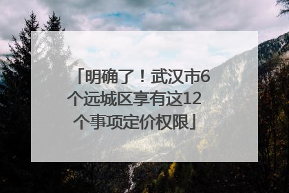 明确了！武汉市6个远城区享有这12个事项定价权限