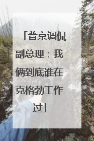 普京调侃副总理:我俩到底谁在克格勃工作过