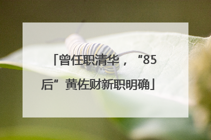 曾任职清华，“85后”黄佐财新职明确
