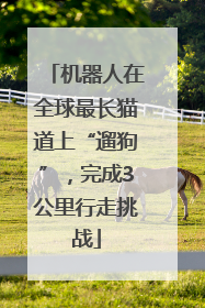 机器人在全球最长猫道上“遛狗”，完成3公里行走挑战