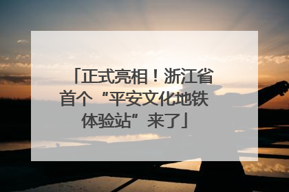 正式亮相！浙江省首个“平安文化地铁体验站”来了