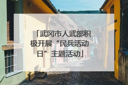 武冈市人武部积极开展“民兵活动日”主题活动