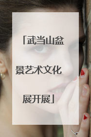 武当山盆景艺术文化展开展