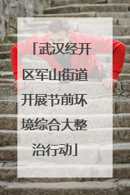武汉经开区军山街道开展节前环境综合大整治行动