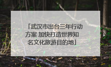 武汉市出台三年行动方案 加快打造世界知名文化旅游目的地