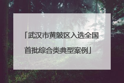 武汉市黄陂区入选全国首批综合类典型案例